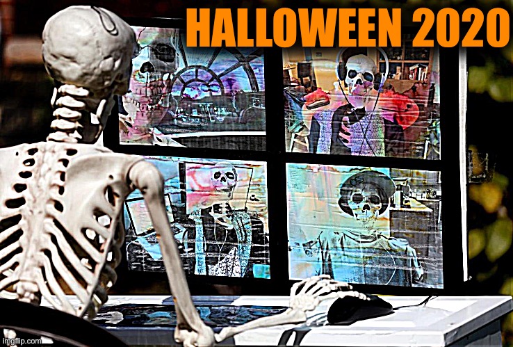 [Hope the connection is good] | HALLOWEEN 2020 | image tagged in skeletons zoom,halloween,happy halloween,2020,2020 sucks,halloween is coming | made w/ Imgflip meme maker