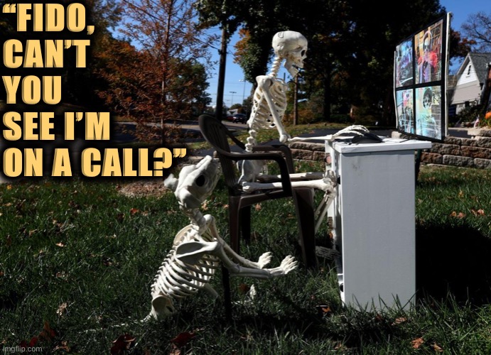 [Halloween 2020, colorized] | “FIDO, CAN’T YOU SEE I’M ON A CALL?” | image tagged in skeletons zoom,halloween,happy halloween,i love halloween,halloween is coming,2020 sucks | made w/ Imgflip meme maker