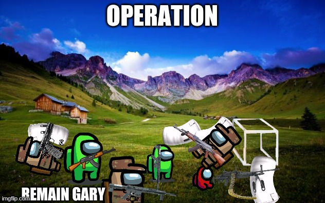 defense mission | OPERATION; REMAIN GARY | image tagged in peaceful-landscape | made w/ Imgflip meme maker