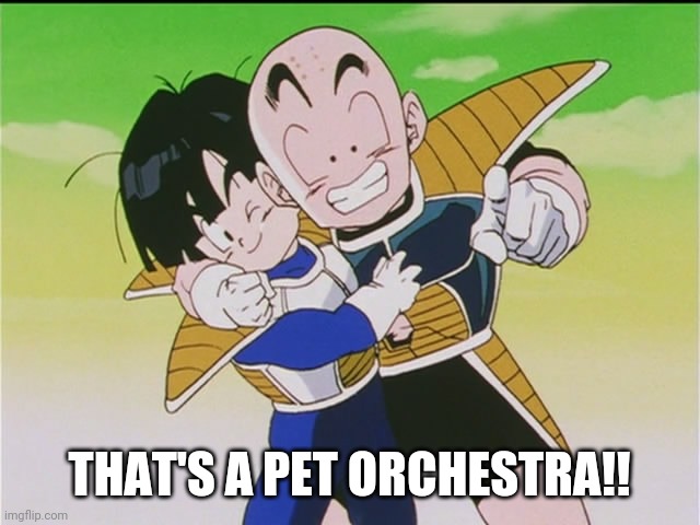 THAT'S A PET ORCHESTRA!! | made w/ Imgflip meme maker