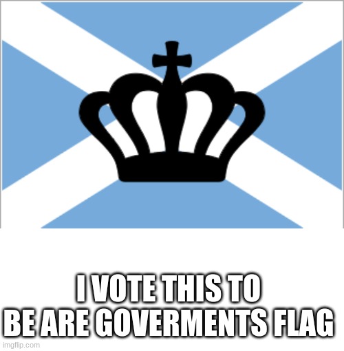 I VOTE THIS TO BE ARE GOVERMENTS FLAG | image tagged in government | made w/ Imgflip meme maker
