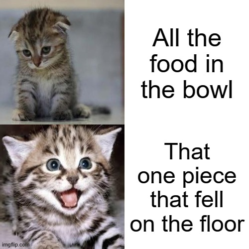 Sad Cat to Happy Cat | All the food in the bowl; That one piece that fell on the floor | image tagged in sad cat to happy cat,cats | made w/ Imgflip meme maker