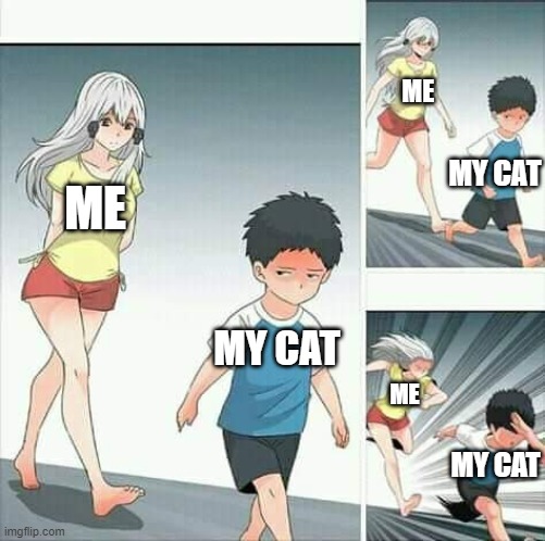 Anime boy running | ME; MY CAT; ME; MY CAT; ME; MY CAT | image tagged in anime boy running,cats | made w/ Imgflip meme maker