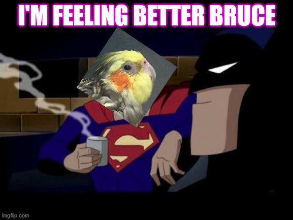 Batman And Superman Meme | I'M FEELING BETTER BRUCE | image tagged in memes,batman and superman | made w/ Imgflip meme maker