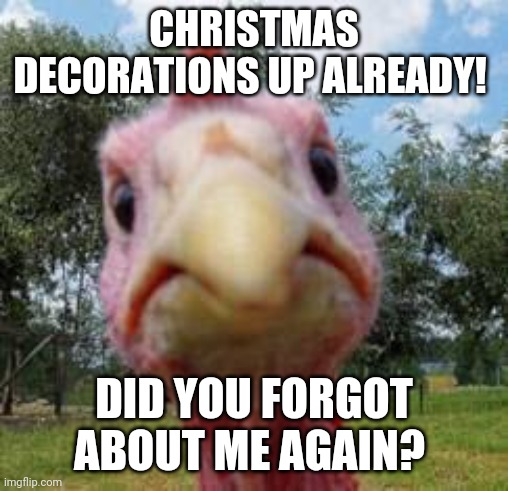 turkey | CHRISTMAS DECORATIONS UP ALREADY! DID YOU FORGOT ABOUT ME AGAIN? | image tagged in turkey | made w/ Imgflip meme maker