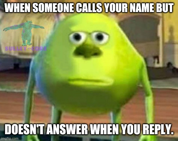 Monsters Inc | WHEN SOMEONE CALLS YOUR NAME BUT; DOESN'T ANSWER WHEN YOU REPLY. | image tagged in monsters inc | made w/ Imgflip meme maker