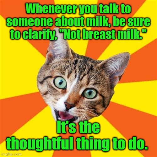 Would this be creepy? | Whenever you talk to someone about milk, be sure to clarify, "Not breast milk."; It's the thoughtful thing to do. | image tagged in memes,bad advice cat,gotmilk,trying2bfunny | made w/ Imgflip meme maker