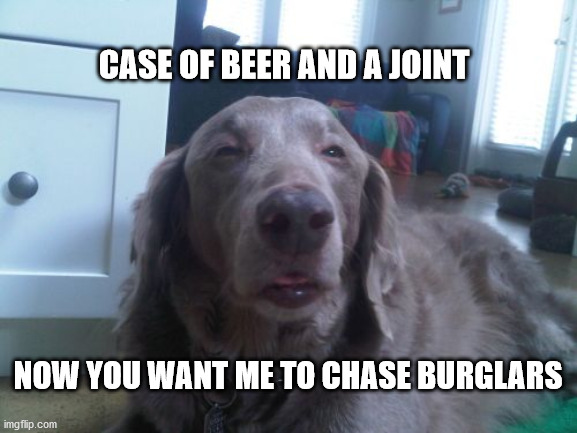 High Dog |  CASE OF BEER AND A JOINT; NOW YOU WANT ME TO CHASE BURGLARS | image tagged in memes,high dog | made w/ Imgflip meme maker