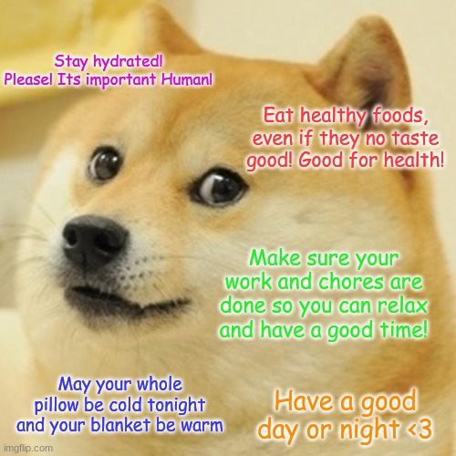 (I have always wanted to make one of these <3) | Stay hydrated! Please! Its important Human! Eat healthy foods, even if they no taste good! Good for health! Make sure your work and chores are done so you can relax and have a good time! May your whole pillow be cold tonight and your blanket be warm; Have a good day or night <3 | image tagged in memes,doge | made w/ Imgflip meme maker