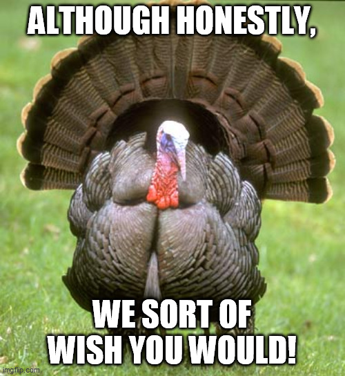 Turkey Meme | ALTHOUGH HONESTLY, WE SORT OF WISH YOU WOULD! | image tagged in memes,turkey | made w/ Imgflip meme maker