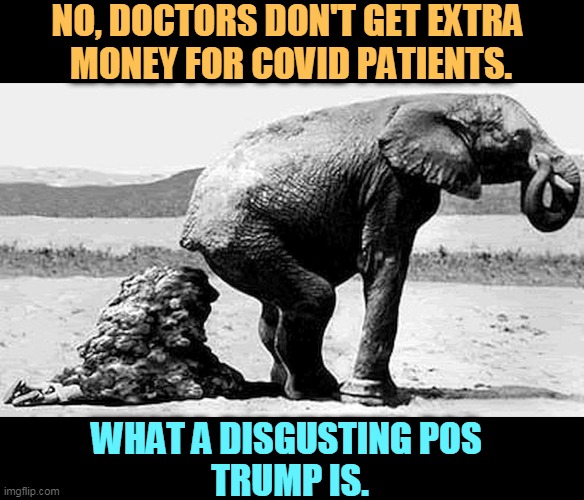 If Trump didn't set off your B.S. detector, you haven't got one. What's wrong with that horrible little man? | NO, DOCTORS DON'T GET EXTRA 
MONEY FOR COVID PATIENTS. WHAT A DISGUSTING POS 
TRUMP IS. | image tagged in gop republican fake news - elephant shit,doctors,trump,elephant,poop | made w/ Imgflip meme maker