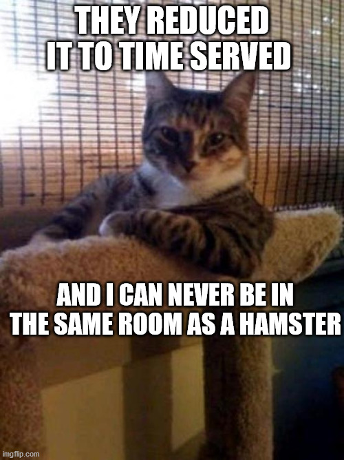 The Most Interesting Cat In The World | THEY REDUCED IT TO TIME SERVED; AND I CAN NEVER BE IN THE SAME ROOM AS A HAMSTER | image tagged in memes,the most interesting cat in the world | made w/ Imgflip meme maker