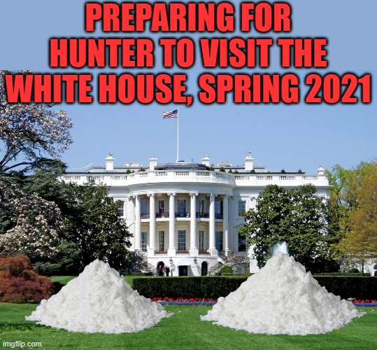 White House | PREPARING FOR HUNTER TO VISIT THE WHITE HOUSE, SPRING 2021 | image tagged in white house | made w/ Imgflip meme maker