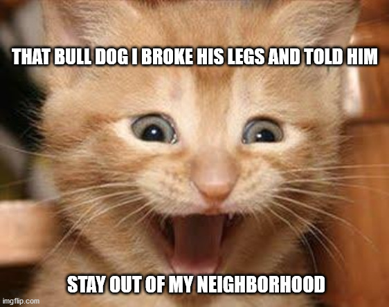 Excited Cat Meme | THAT BULL DOG I BROKE HIS LEGS AND TOLD HIM; STAY OUT OF MY NEIGHBORHOOD | image tagged in memes,excited cat | made w/ Imgflip meme maker