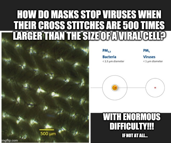 Do you masks really work against viruses | HOW DO MASKS STOP VIRUSES WHEN THEIR CROSS STITCHES ARE 500 TIMES LARGER THAN THE SIZE OF A VIRAL CELL? WITH ENORMOUS DIFFICULTY!!! IF NOT AT ALL... | image tagged in viruses small-masks stitching big,paper masks aren't virus masks | made w/ Imgflip meme maker