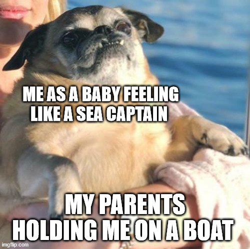 What A CHONKER | ME AS A BABY FEELING LIKE A SEA CAPTAIN; MY PARENTS HOLDING ME ON A BOAT | image tagged in fat dog | made w/ Imgflip meme maker