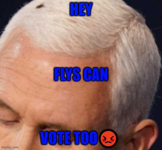 presedent Biden | HEY; FLYS CAN; VOTE TOO😡 | image tagged in lol | made w/ Imgflip meme maker