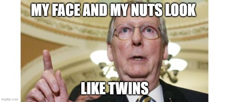 Mitch McConnell Meme | MY FACE AND MY NUTS LOOK; LIKE TWINS | image tagged in memes,mitch mcconnell | made w/ Imgflip meme maker