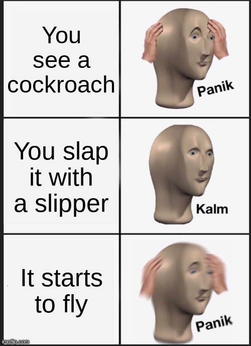 Panik Kalm Panik | You see a cockroach; You slap it with a slipper; It starts to fly | image tagged in memes,panik kalm panik | made w/ Imgflip meme maker