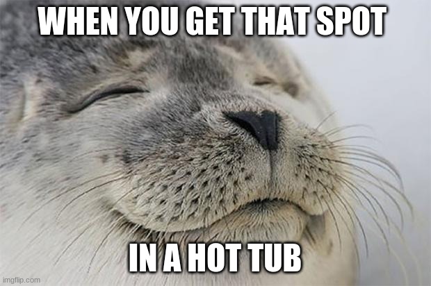Satisfied Seal Meme | WHEN YOU GET THAT SPOT; IN A HOT TUB | image tagged in memes,satisfied seal | made w/ Imgflip meme maker