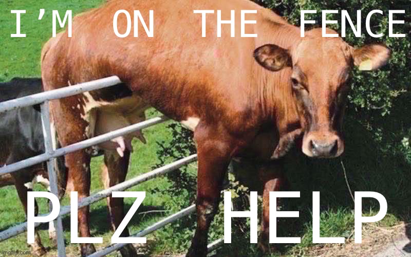 [Can’t decide whether to welcome our communist overlords or whether we need more incremental progress under Strangelayson. Halp] | I’M ON THE FENCE; PLZ HELP | image tagged in cow on the fence,meanwhile on imgflip,election,communism | made w/ Imgflip meme maker