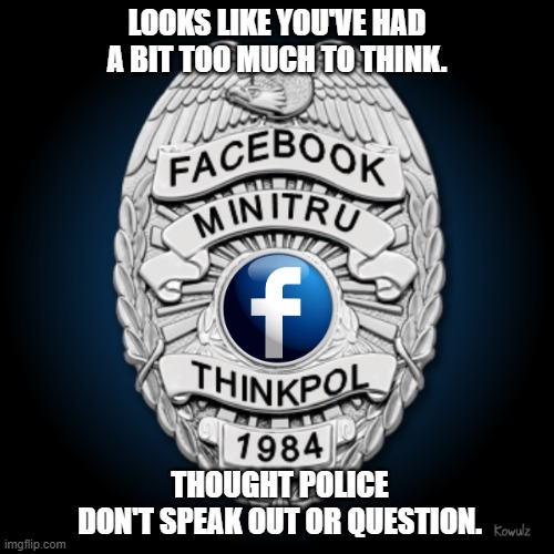 Facebook MiniTru ThinkPol 1984 Badge | LOOKS LIKE YOU'VE HAD A BIT TOO MUCH TO THINK. THOUGHT POLICE
DON'T SPEAK OUT OR QUESTION. | image tagged in facebook minitru thinkpol 1984 badge | made w/ Imgflip meme maker