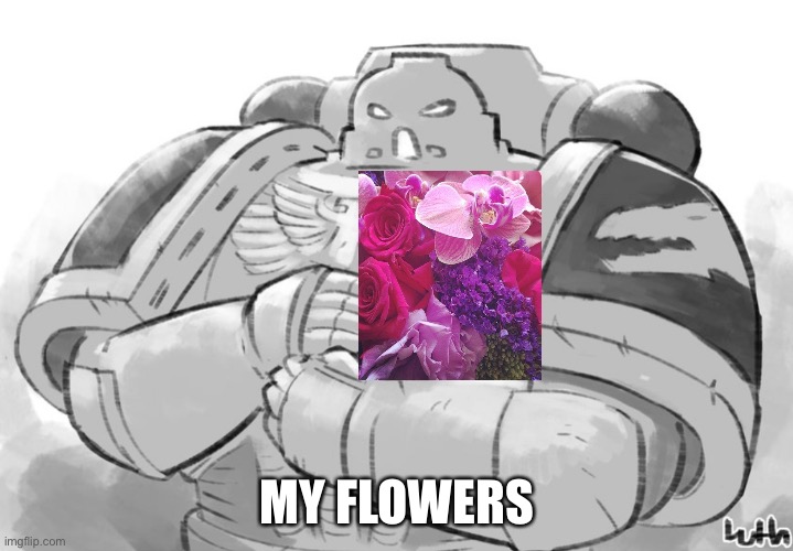 Hugs | MY FLOWERS | image tagged in hugs | made w/ Imgflip meme maker