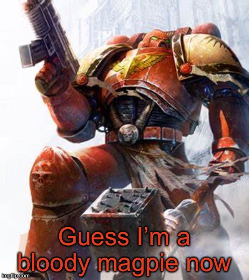 Space Marine | Guess I’m a bloody magpie now | image tagged in space marine | made w/ Imgflip meme maker