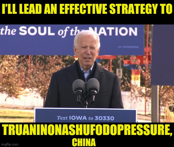 Joe Biden Will TRUANINONASHUFODOPRESSURE | I’LL LEAD AN EFFECTIVE STRATEGY TO; TRUANINONASHUFODOPRESSURE, CHINA | image tagged in joe biden,trump 2020,election 2020,drstrangmeme | made w/ Imgflip meme maker