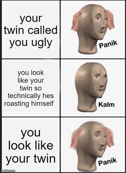 im not a twin but i imagine this is everyday struggle | your twin called you ugly; you look like your twin so technically hes roasting himself; you look like your twin | image tagged in memes,panik kalm panik | made w/ Imgflip meme maker