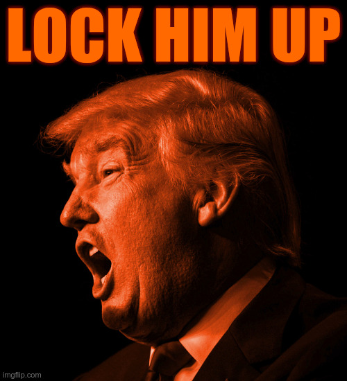 Lock Him Up | LOCK HIM UP | image tagged in trump,criminal negligence,criminal behavior,malignant narcissist,golfs rather than governs | made w/ Imgflip meme maker