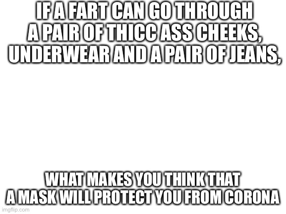 I’m not a Karen, this is just a joke! | IF A FART CAN GO THROUGH A PAIR OF THICC ASS CHEEKS, UNDERWEAR AND A PAIR OF JEANS, WHAT MAKES YOU THINK THAT A MASK WILL PROTECT YOU FROM CORONA | image tagged in blank white template | made w/ Imgflip meme maker