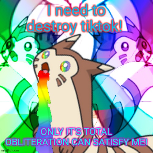 Furret on Acid | I need to destroy tiktok! ONLY IT'S TOTAL OBLITERATION CAN SATISFY ME! | image tagged in furret on acid | made w/ Imgflip meme maker