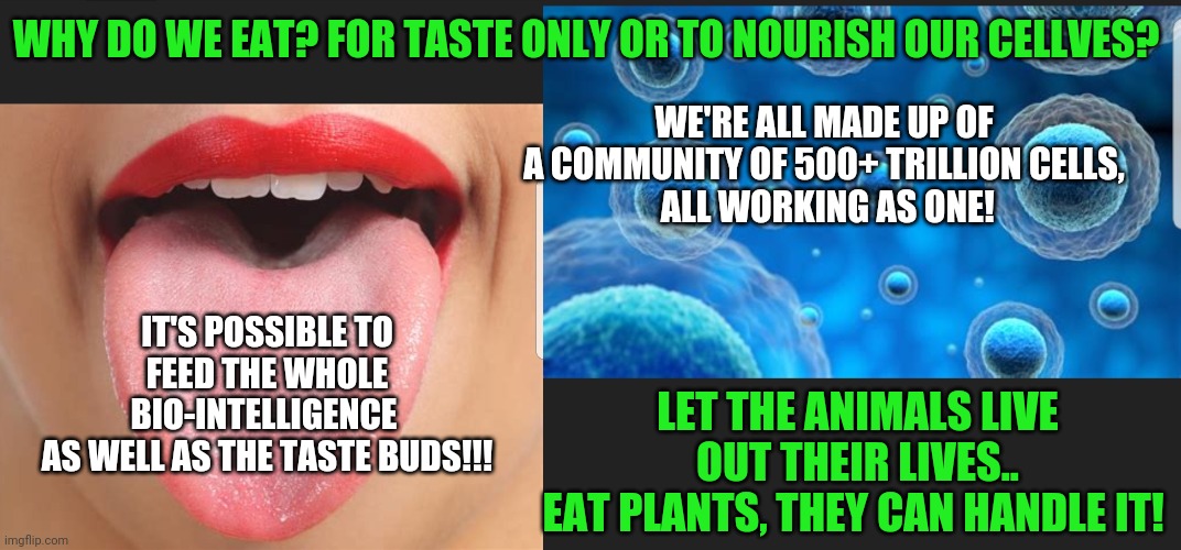 Time to reevaluate our eating habits | WHY DO WE EAT? FOR TASTE ONLY OR TO NOURISH OUR CELLVES? WE'RE ALL MADE UP OF A COMMUNITY OF 500+ TRILLION CELLS,
 ALL WORKING AS ONE! IT'S POSSIBLE TO FEED THE WHOLE BIO-INTELLIGENCE 
AS WELL AS THE TASTE BUDS!!! LET THE ANIMALS LIVE OUT THEIR LIVES..
EAT PLANTS, THEY CAN HANDLE IT! | image tagged in biointelligence,cellular community,eat for taste and cellular health,let the animals live,eat plants | made w/ Imgflip meme maker