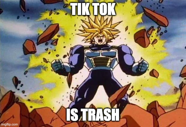 my friend made this | TIK TOK; IS TRASH | image tagged in dragon ball z | made w/ Imgflip meme maker