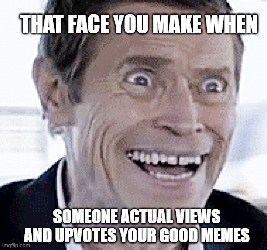 THAT FACE YOU MAKE WHEN; SOMEONE ACTUAL VIEWS AND UPVOTES YOUR GOOD MEMES | made w/ Imgflip meme maker