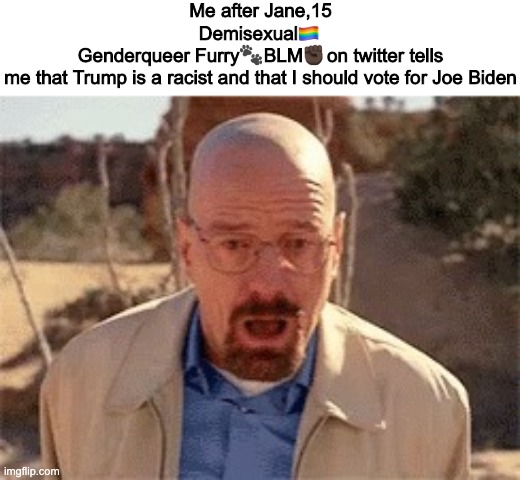 how to let everyone know you're a Liberal : Add 40 different quotes under your name | Me after Jane,15 Demisexual🏳️‍🌈 
Genderqueer Furry🐾 BLM✊🏿 on twitter tells
me that Trump is a racist and that I should vote for Joe Biden | image tagged in walter white,wow thanks abbie but i sure dont care | made w/ Imgflip meme maker