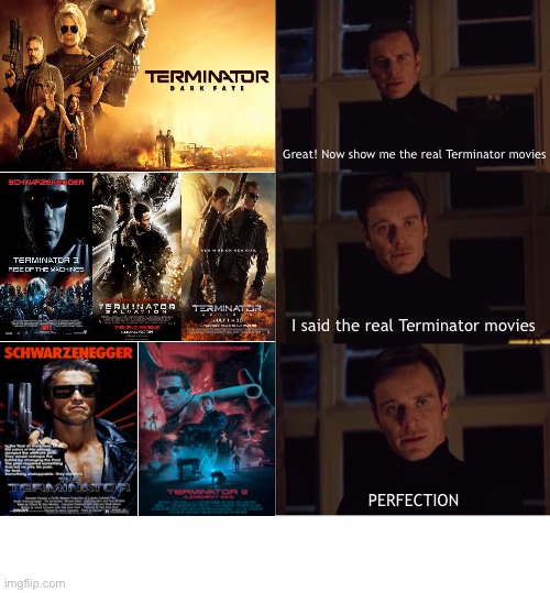 THE REAL TERMINATOR |  Great! Now show me the real Terminator movies; I said the real Terminator movies; PERFECTION | image tagged in perfection,james cameron,terminator,terminator 2,the terminator,funny memes | made w/ Imgflip meme maker