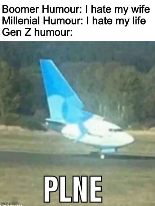 All hail PLNE | Boomer Humour: I hate my wife
Millenial Humour: I hate my life
Gen Z humour: | image tagged in plne,gen z humour | made w/ Imgflip meme maker