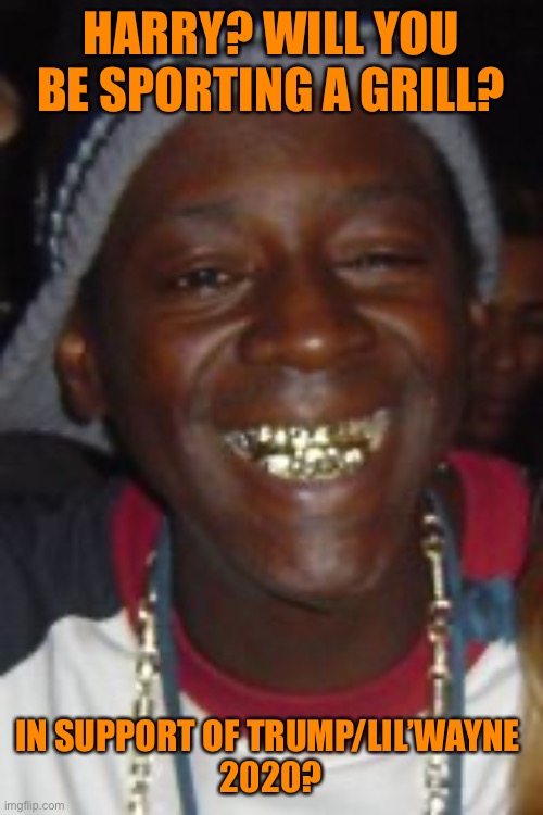 HARRY? WILL YOU BE SPORTING A GRILL? IN SUPPORT OF TRUMP/LIL’WAYNE 
2020? | made w/ Imgflip meme maker