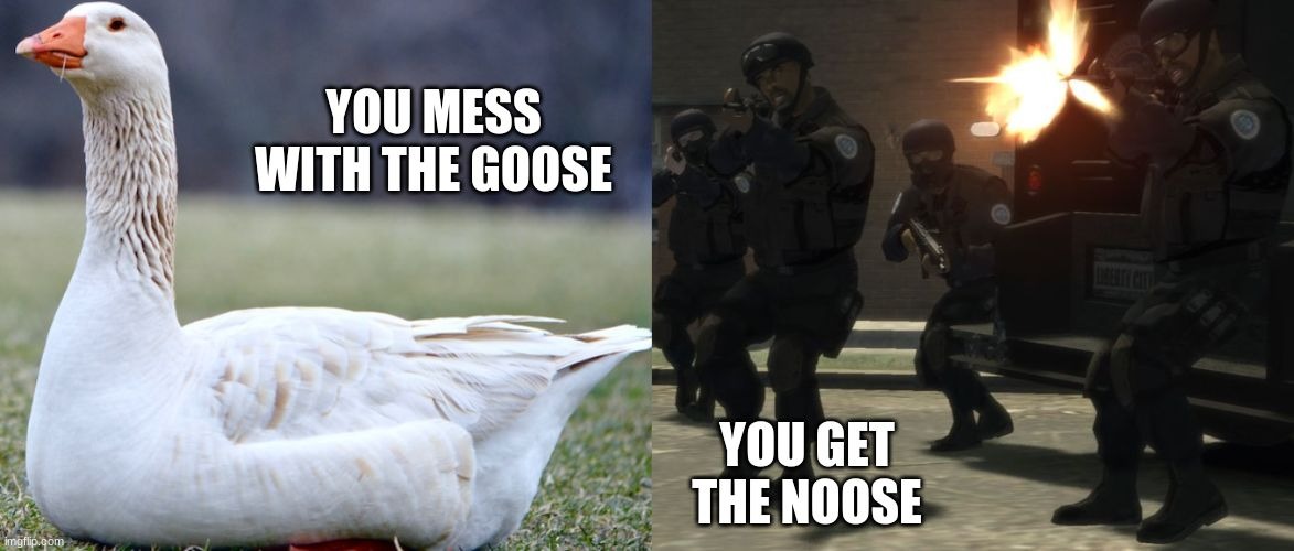 you mess with the goose you get the NOOSE | image tagged in noose | made w/ Imgflip meme maker