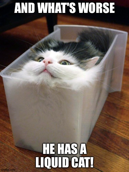 Liquid Cat | AND WHAT'S WORSE HE HAS A LIQUID CAT! | image tagged in liquid cat | made w/ Imgflip meme maker