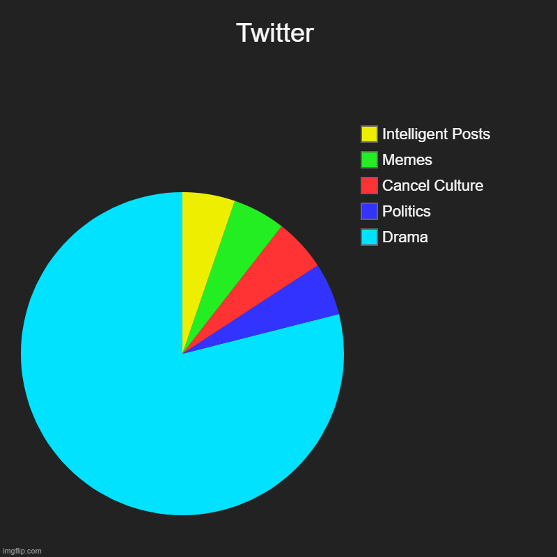 twitters toxic ngl | Twitter | Drama, Politics, Cancel Culture, Memes, Intelligent Posts | image tagged in charts,pie charts,twitter,memes | made w/ Imgflip chart maker