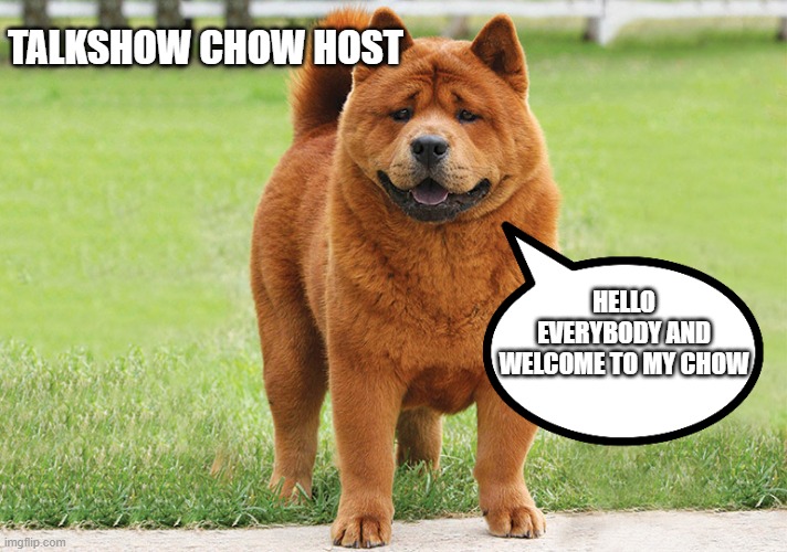 Talkchow | TALKSHOW CHOW HOST; HELLO EVERYBODY AND WELCOME TO MY CHOW | image tagged in fun,funny memes | made w/ Imgflip meme maker