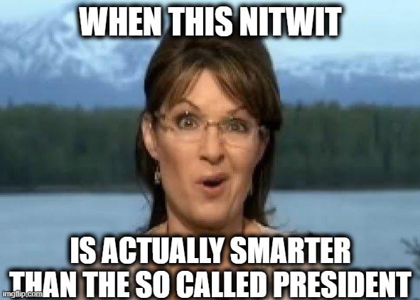 Sarah Palin | WHEN THIS NITWIT; IS ACTUALLY SMARTER THAN THE SO CALLED PRESIDENT | image tagged in sarah palin | made w/ Imgflip meme maker