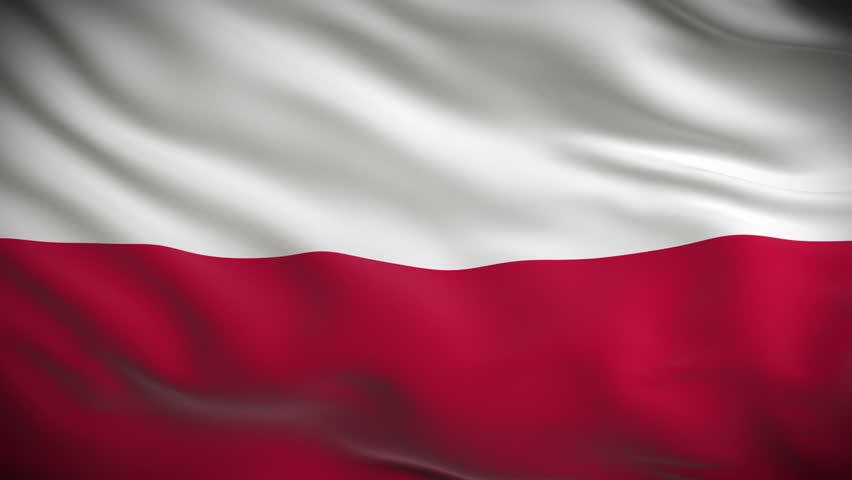 Polish Flag with ripple effect Blank Meme Template