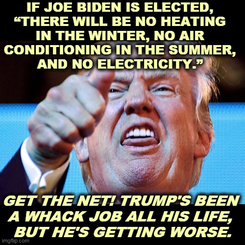 WTF? | IF JOE BIDEN IS ELECTED, 
“THERE WILL BE NO HEATING 
IN THE WINTER, NO AIR 
CONDITIONING IN THE SUMMER, 
AND NO ELECTRICITY.”; GET THE NET! TRUMP'S BEEN 
A WHACK JOB ALL HIS LIFE, 
BUT HE'S GETTING WORSE. | image tagged in trump,nuts,crazy,insane,dangerous | made w/ Imgflip meme maker