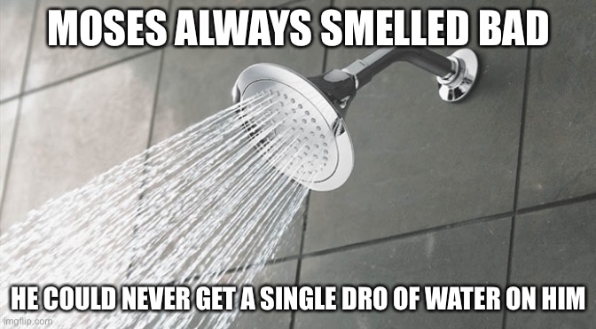 Shower Thoughts | MOSES ALWAYS SMELLED BAD; HE COULD NEVER GET A SINGLE DRO OF WATER ON HIM | image tagged in shower thoughts | made w/ Imgflip meme maker