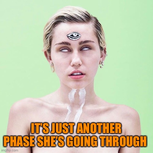 Mystic Miley | IT’S JUST ANOTHER PHASE SHE’S GOING THROUGH | image tagged in mystic miley | made w/ Imgflip meme maker