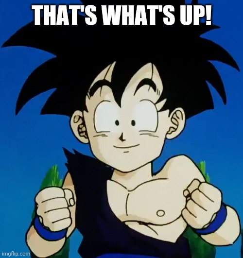 Amused Gohan (DBZ) | THAT'S WHAT'S UP! | image tagged in amused gohan dbz | made w/ Imgflip meme maker